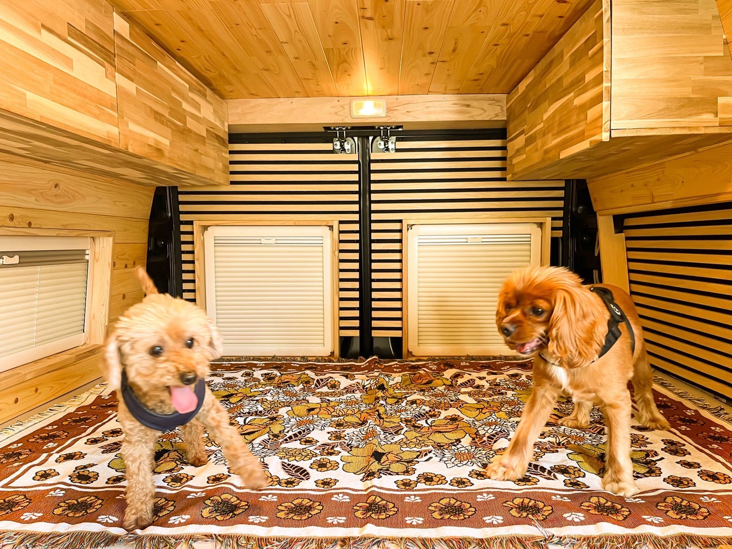 Rug blanket